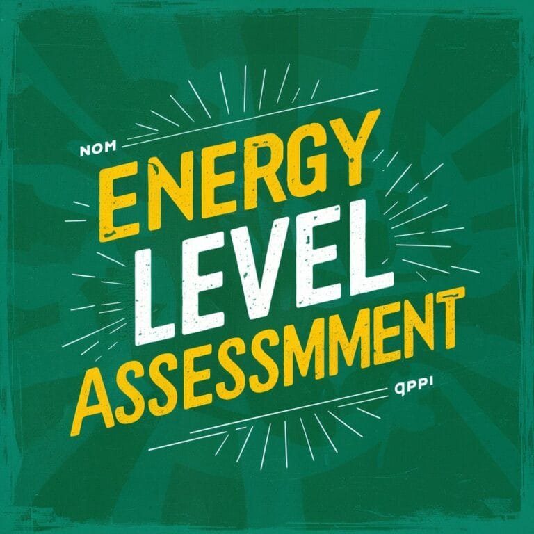 Energy Level Assessment 1 Energy Level Assessment